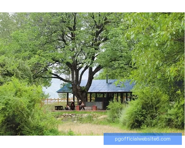 纳尔逊郊区与科斯特尔精神交融下的社区发展与文化探索